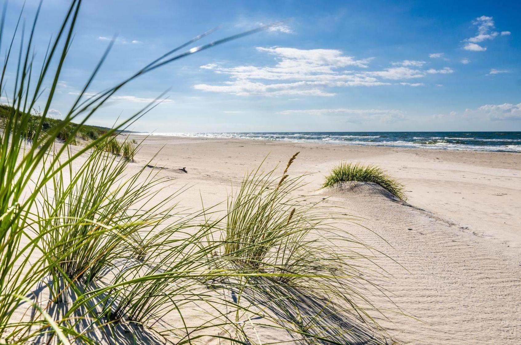 Strandschloesschen-Haus-Ii-We-13-9889 Ostseebad Kühlungsborn Eksteriør billede